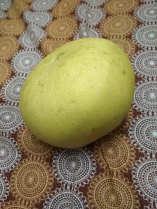 Pomelo / Papnus