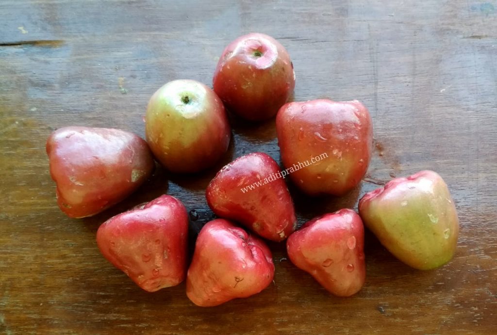 Why Should You Eat The Seasonal Java Apples / Rose Apples