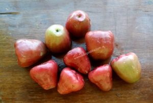 Java apples / Rose apples