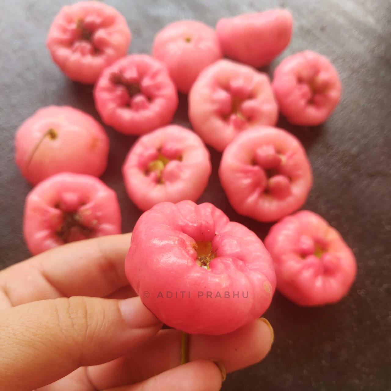 java apples