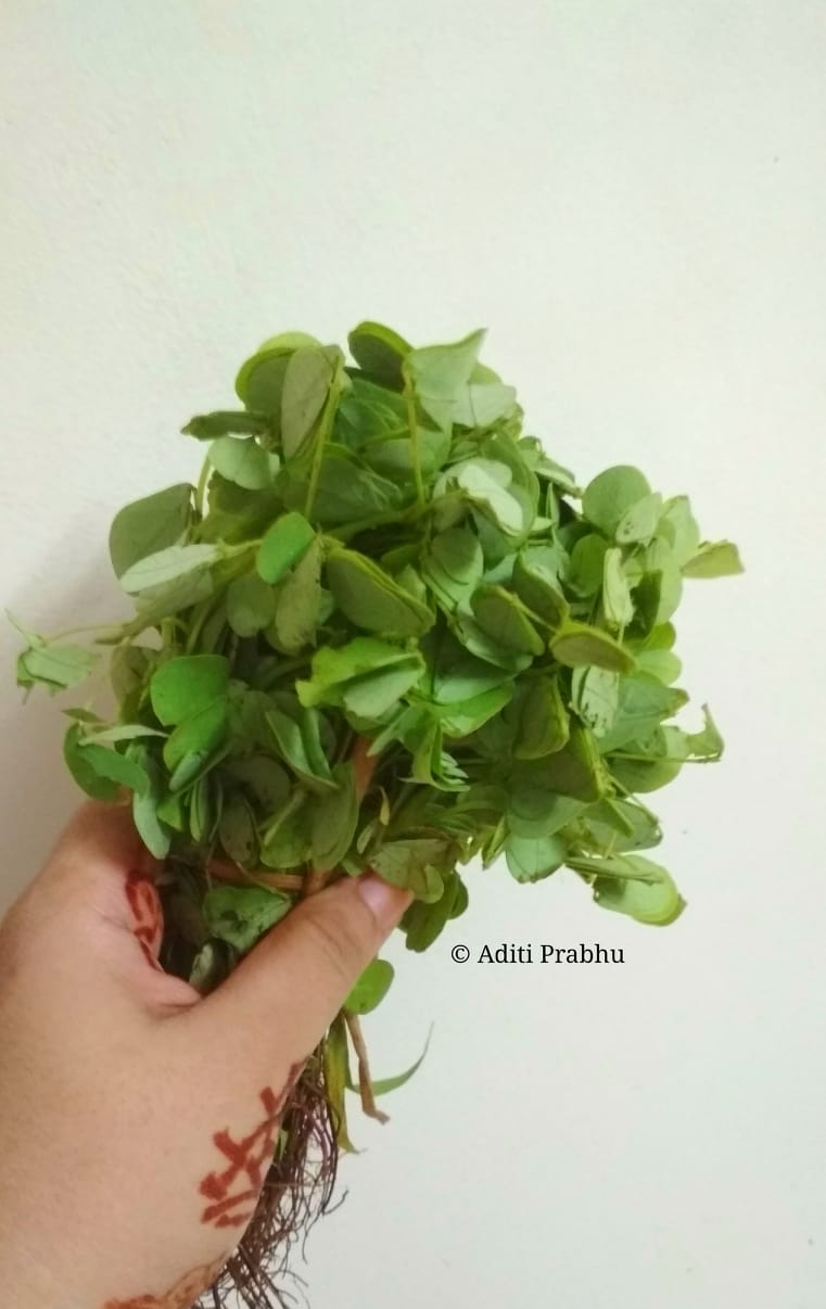 Takla or Cassia Tora Availability, Nutrition, and usage