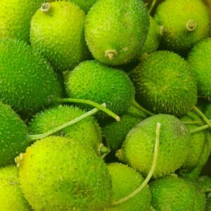 Read more about the article Kantola / Spine gourd and its benefits