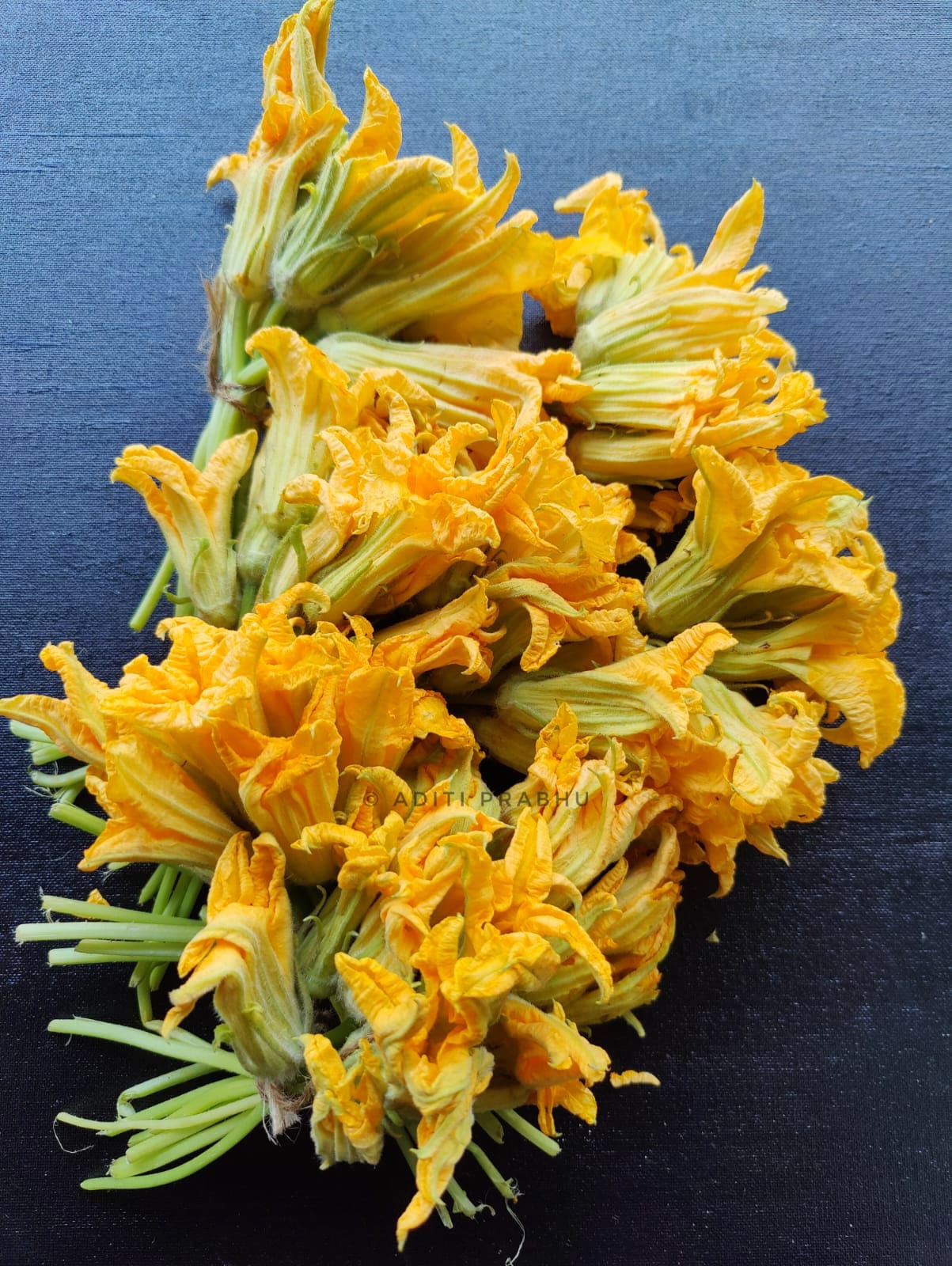 Pumpkin blooms