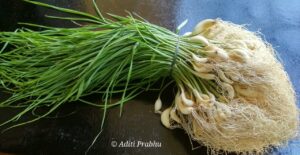 green garlic