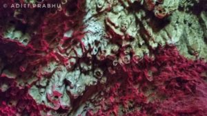 bellum caves