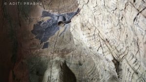 bellum caves