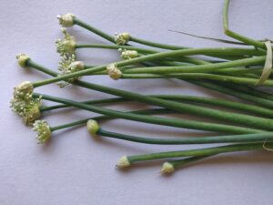 Chickpea-spring onion flowers salad
