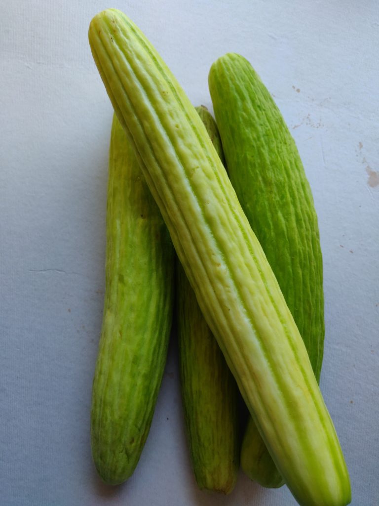 armenian cucumbers